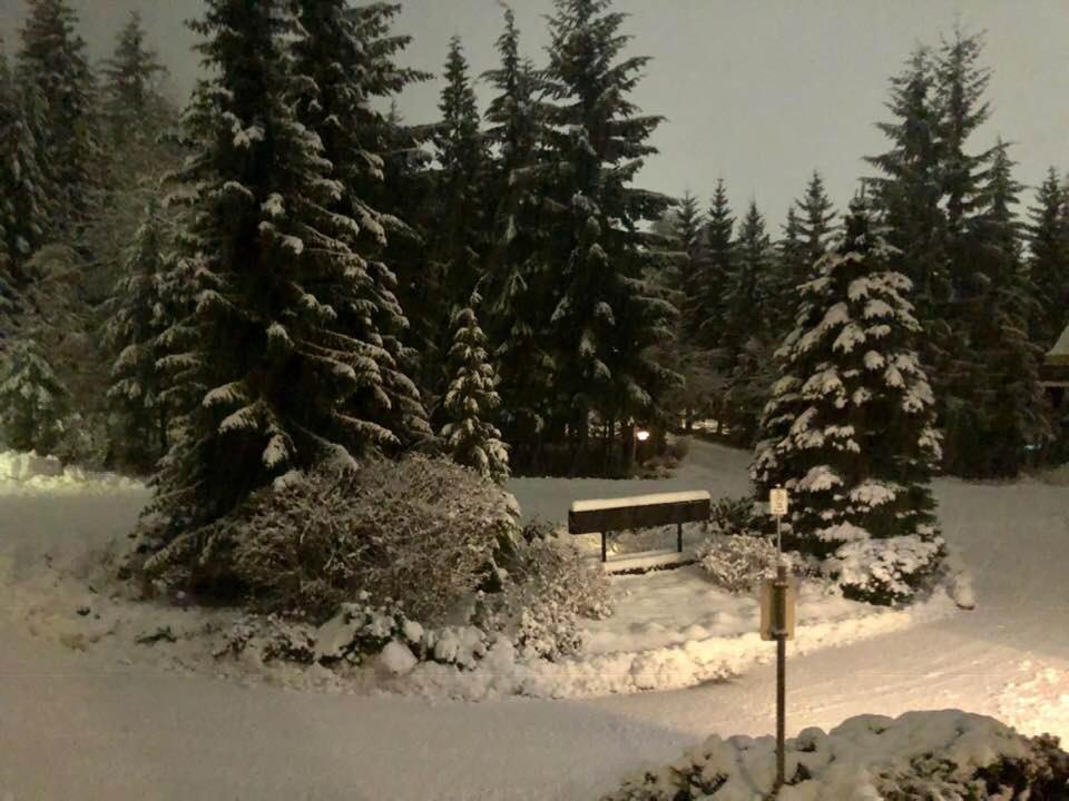 Powderhorn By Whistler Blackcomb Vacation Rentals Bagian luar foto